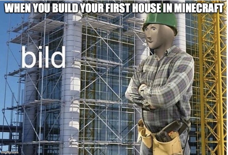 bild meme | WHEN YOU BUILD YOUR FIRST HOUSE IN MINECRAFT | image tagged in bild meme | made w/ Imgflip meme maker