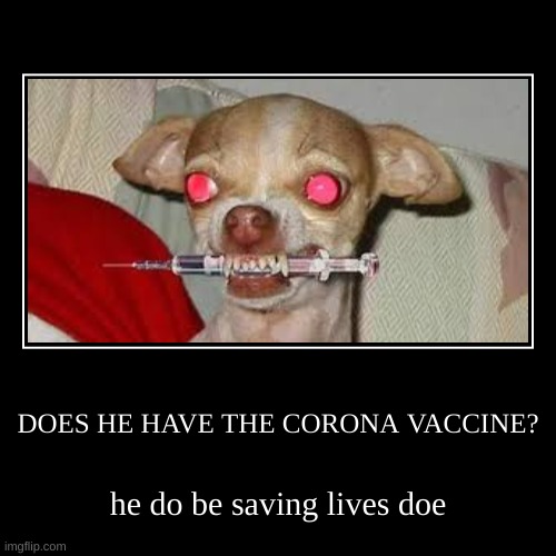 corona dog | image tagged in funny,demotivationals,coronavirus,big boobs,woah,bad pun dog | made w/ Imgflip demotivational maker