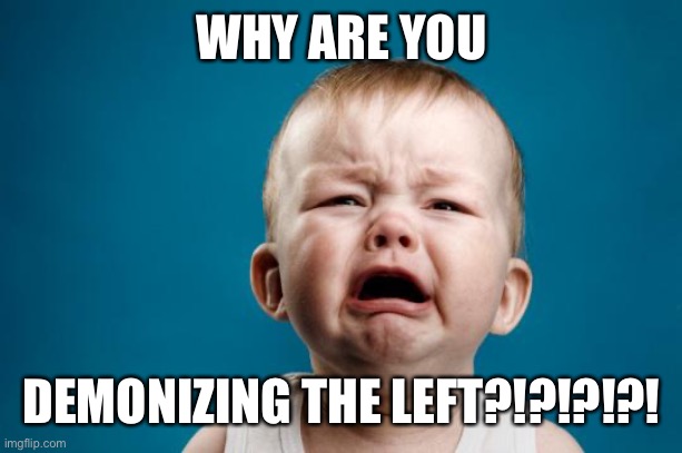 BABY CRYING | WHY ARE YOU DEMONIZING THE LEFT?!?!?!?! | image tagged in baby crying | made w/ Imgflip meme maker