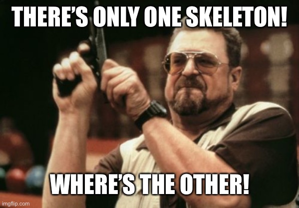 Am I The Only One Around Here Meme | THERE’S ONLY ONE SKELETON! WHERE’S THE OTHER! | image tagged in memes,am i the only one around here | made w/ Imgflip meme maker