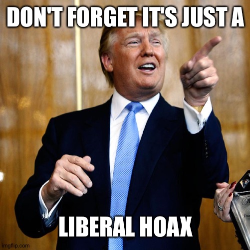 Donal Trump Birthday | DON'T FORGET IT'S JUST A LIBERAL HOAX | image tagged in donal trump birthday | made w/ Imgflip meme maker