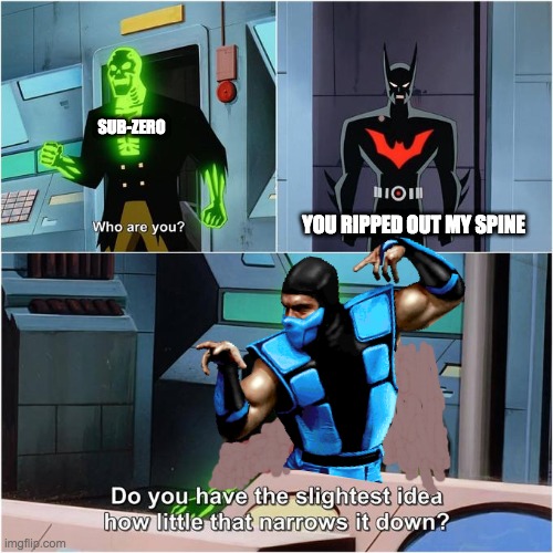 Mortal combat fans will understand | SUB-ZERO; YOU RIPPED OUT MY SPINE | image tagged in mortal kombat,batman,funny | made w/ Imgflip meme maker