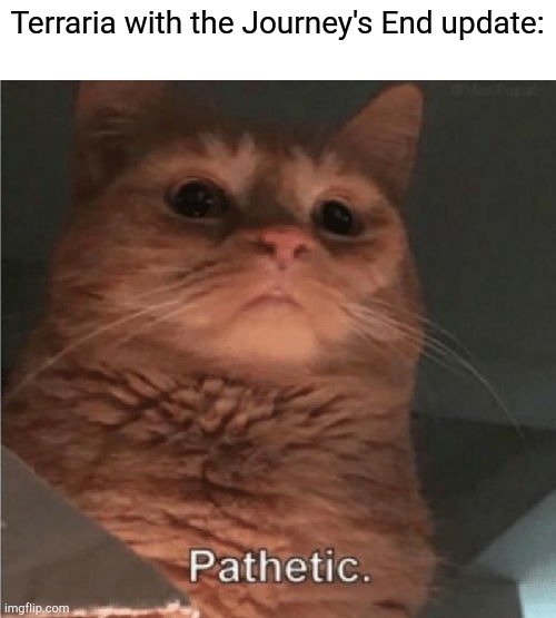 Pathetic Cat | Terraria with the Journey's End update: | image tagged in pathetic cat | made w/ Imgflip meme maker