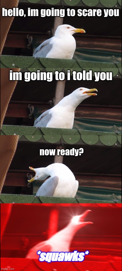 Inhaling Seagull | hello, im going to scare you; im going to i told you; now ready? *squawks* | image tagged in memes,inhaling seagull | made w/ Imgflip meme maker