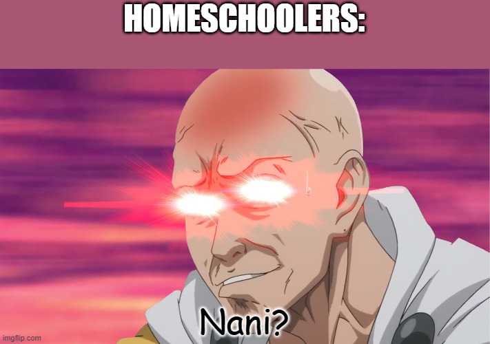 NANI | HOMESCHOOLERS: Nani? | image tagged in nani | made w/ Imgflip meme maker