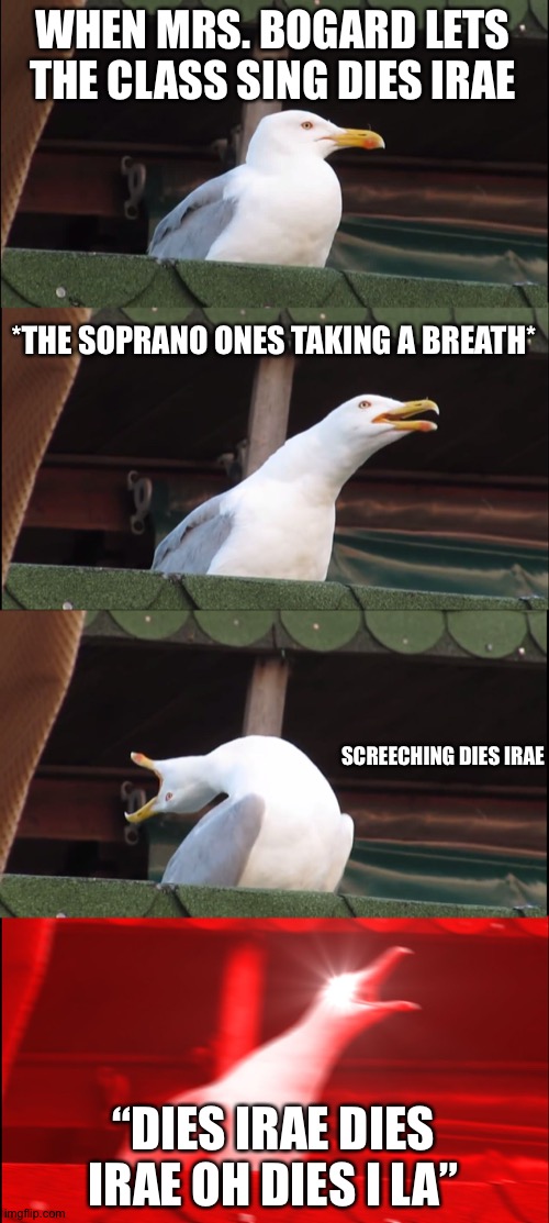 Inhaling Seagull | WHEN MRS. BOGARD LETS THE CLASS SING DIES IRAE; *THE SOPRANO ONES TAKING A BREATH*; SCREECHING DIES IRAE; “DIES IRAE DIES IRAE OH DIES I LA” | image tagged in memes,inhaling seagull | made w/ Imgflip meme maker