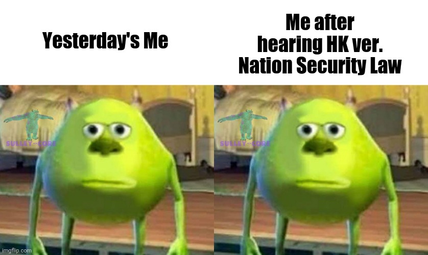 HK Nation Security Law reaction | Yesterday's Me; Me after hearing HK ver.
Nation Security Law | image tagged in monsters inc | made w/ Imgflip meme maker