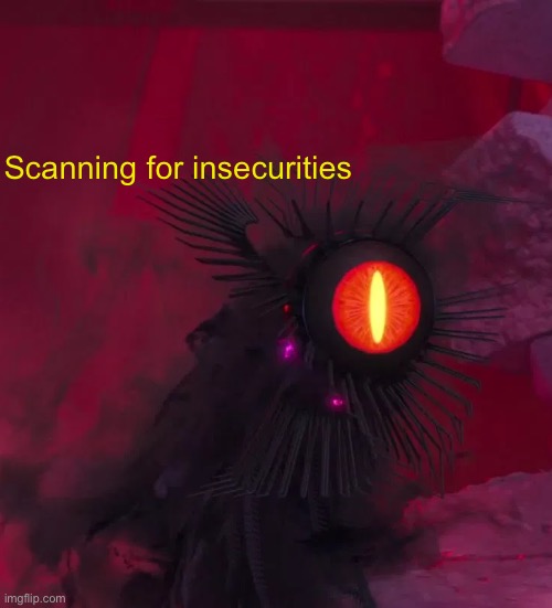 Scanning for insecurities | made w/ Imgflip meme maker