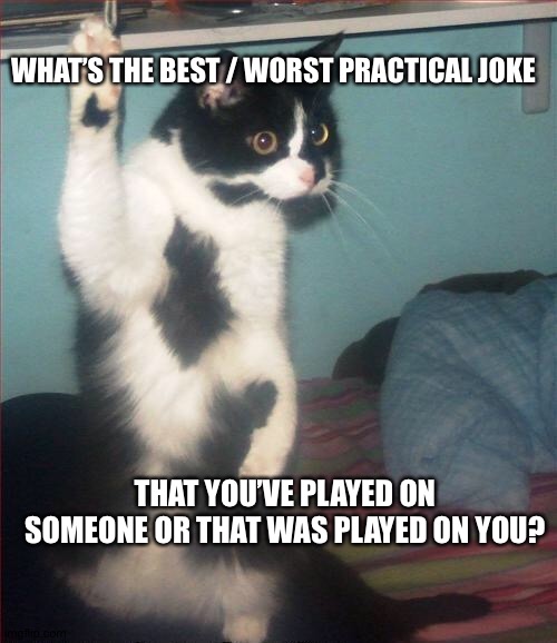question cat | WHAT’S THE BEST / WORST PRACTICAL JOKE; THAT YOU’VE PLAYED ON SOMEONE OR THAT WAS PLAYED ON YOU? | image tagged in question cat,question | made w/ Imgflip meme maker