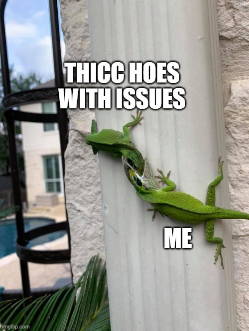 Lizard thicc hoes | THICC HOES WITH ISSUES; ME | image tagged in lizard on lizard | made w/ Imgflip meme maker