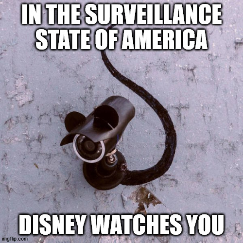 IN THE SURVEILLANCE STATE OF AMERICA; DISNEY WATCHES YOU | made w/ Imgflip meme maker