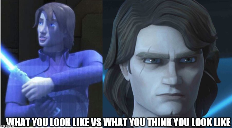 WHAT YOU LOOK LIKE VS WHAT YOU THINK YOU LOOK LIKE | image tagged in star wars | made w/ Imgflip meme maker