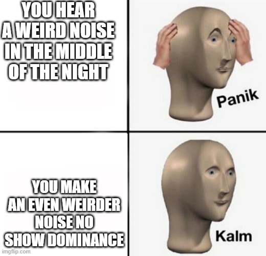 panik kalm | YOU HEAR A WEIRD NOISE IN THE MIDDLE OF THE NIGHT; YOU MAKE AN EVEN WEIRDER NOISE NO SHOW DOMINANCE | image tagged in panik kalm | made w/ Imgflip meme maker
