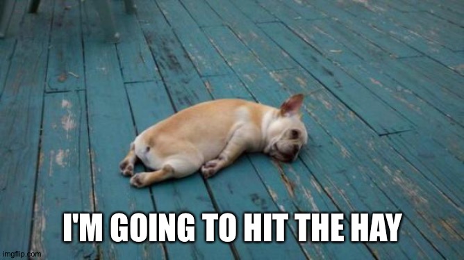 tired dog | I'M GOING TO HIT THE HAY | image tagged in tired dog | made w/ Imgflip meme maker