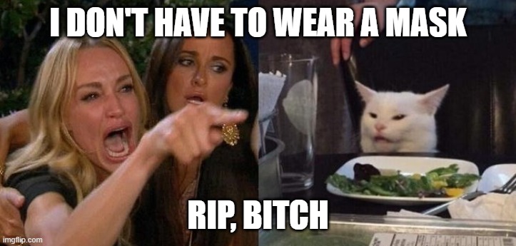 Woman Yelling at Smudge the Cat | I DON'T HAVE TO WEAR A MASK; RIP, BITCH | image tagged in woman yelling at smudge the cat | made w/ Imgflip meme maker