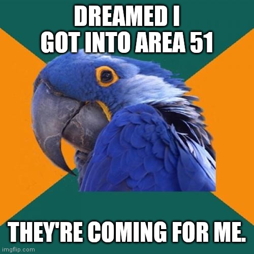 It was a weird dream | DREAMED I GOT INTO AREA 51; THEY'RE COMING FOR ME. | image tagged in memes,paranoid parrot,area 51 | made w/ Imgflip meme maker