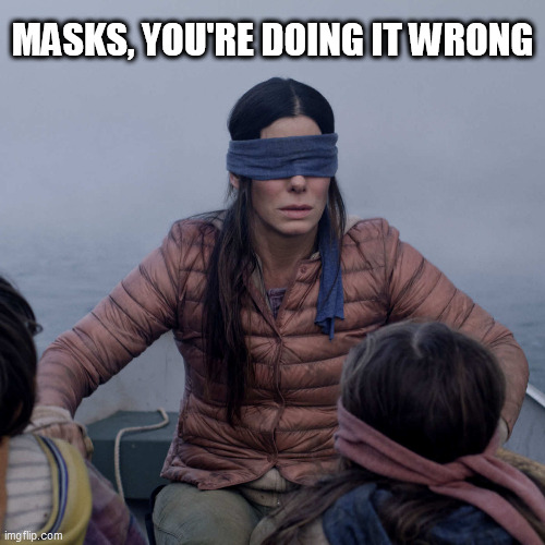 Bird Box Meme | MASKS, YOU'RE DOING IT WRONG | image tagged in memes,bird box | made w/ Imgflip meme maker