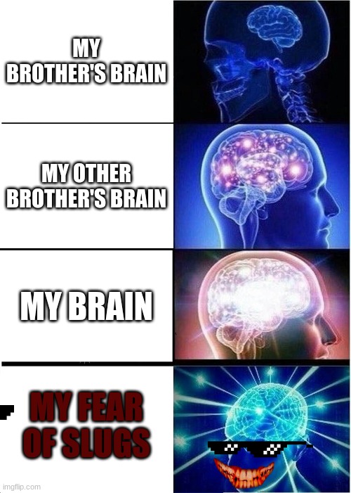 Expanding Brain Meme | MY BROTHER'S BRAIN; MY OTHER BROTHER'S BRAIN; MY BRAIN; MY FEAR OF SLUGS | image tagged in memes,expanding brain,funny,slugs are creepy | made w/ Imgflip meme maker