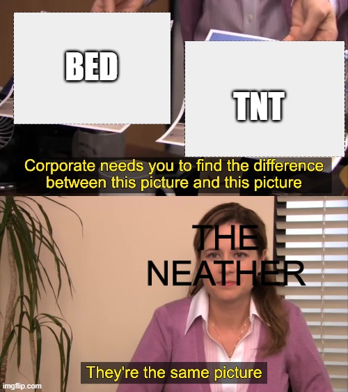 mincraft neather be like | TNT; BED; THE NEATHER | image tagged in there the same picture | made w/ Imgflip meme maker