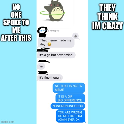 ok i went a bit mad | THEY THINK IM CRAZY; NO ONE SPOKE TO ME AFTER THIS | image tagged in texts,message,memes,gifs,crazy | made w/ Imgflip meme maker