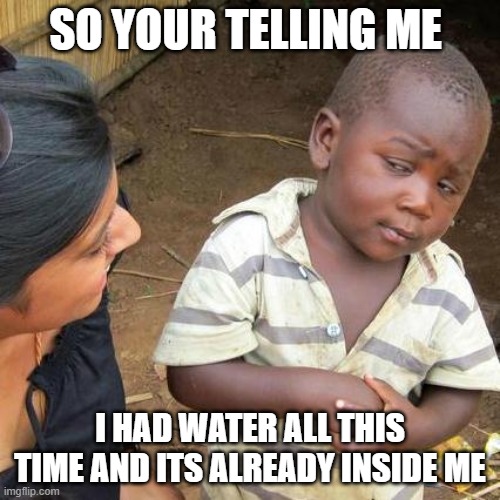 Third World Skeptical Kid | SO YOUR TELLING ME; I HAD WATER ALL THIS TIME AND ITS ALREADY INSIDE ME | image tagged in memes,third world skeptical kid | made w/ Imgflip meme maker