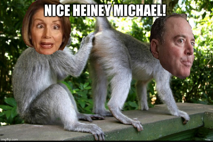 Nancy Pelosi and Adam Schiff | NICE HEINEY MICHAEL! | image tagged in nancy pelosi and adam schiff | made w/ Imgflip meme maker