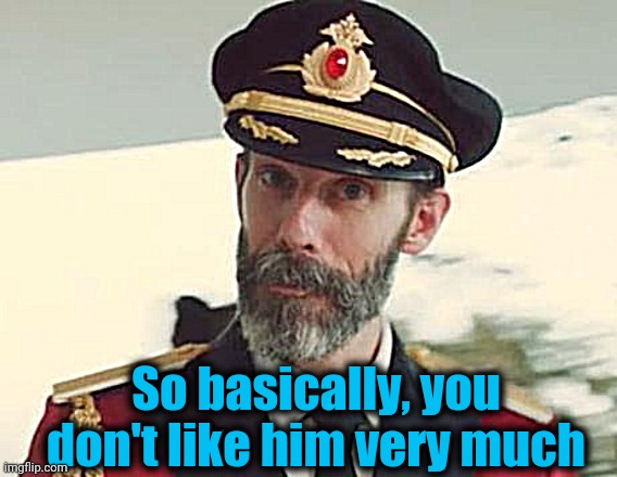 Captain Obvious | So basically, you don't like him very much | image tagged in captain obvious | made w/ Imgflip meme maker