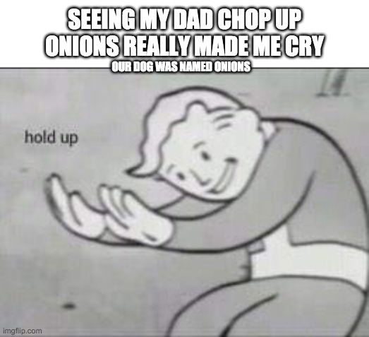 Dark Humour King | SEEING MY DAD CHOP UP ONIONS REALLY MADE ME CRY; OUR DOG WAS NAMED ONIONS | image tagged in fallout hold up,dark humor,baby jesus for mod,funny,memes | made w/ Imgflip meme maker