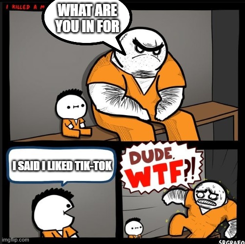 Srgrafo dude wtf | WHAT ARE YOU IN FOR; I SAID I LIKED TIK-TOK | image tagged in srgrafo dude wtf | made w/ Imgflip meme maker