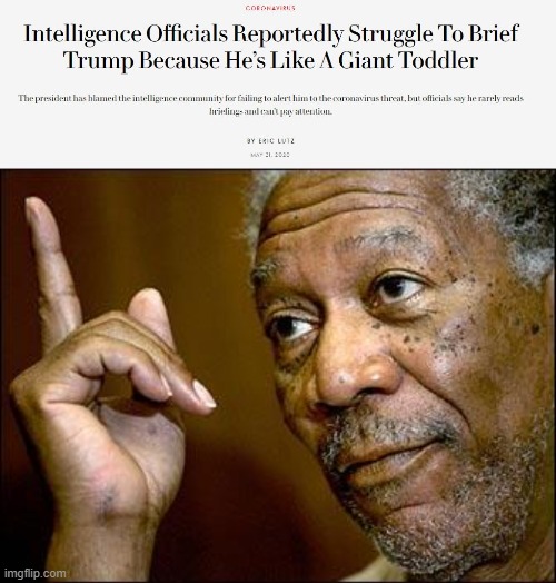 "it’s that Trump is, as he might put it, a “low IQ individual” who cannot understand or pay attention to his briefings" | image tagged in this morgan freeman,maga,coronavirus,donald trump is an idiot,politics,memes | made w/ Imgflip meme maker