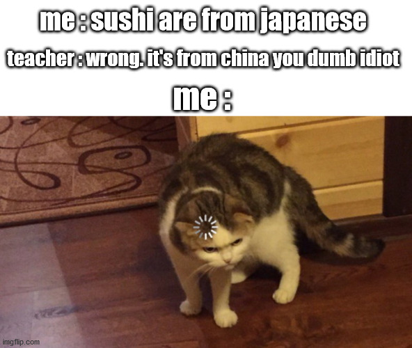 Buffering cat | me : sushi are from japanese; teacher : wrong. it's from china you dumb idiot; me : | image tagged in buffering cat | made w/ Imgflip meme maker