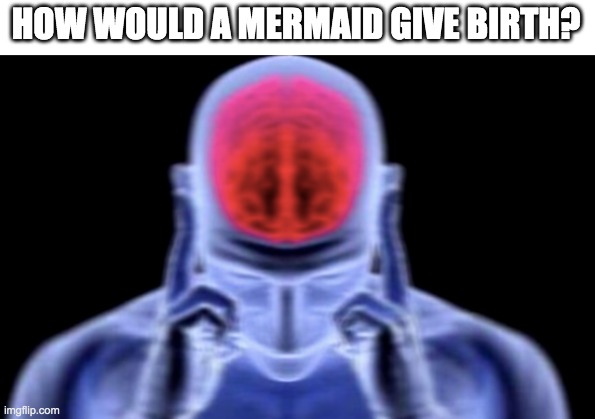 Thoughts... | HOW WOULD A MERMAID GIVE BIRTH? | image tagged in mermaid,funny,memes,baby jesus for mod | made w/ Imgflip meme maker