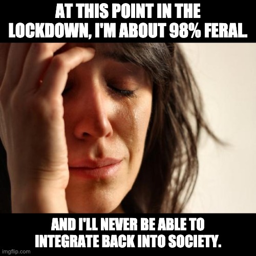Feral people | AT THIS POINT IN THE LOCKDOWN, I'M ABOUT 98% FERAL. AND I'LL NEVER BE ABLE TO INTEGRATE BACK INTO SOCIETY. | image tagged in memes,first world problems | made w/ Imgflip meme maker