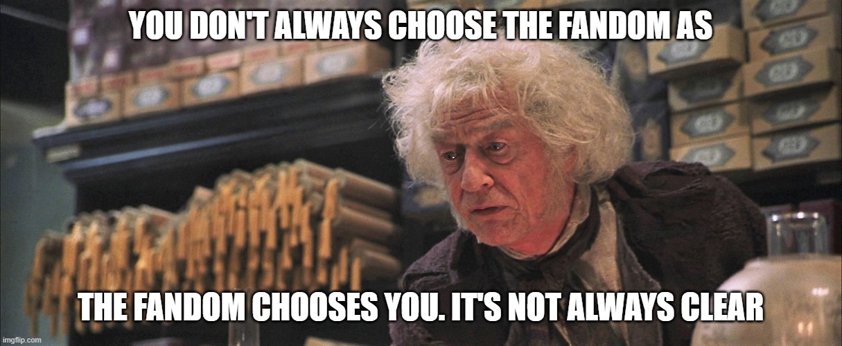 The Fandom Chooses | YOU DON'T ALWAYS CHOOSE THE FANDOM AS; THE FANDOM CHOOSES YOU. IT'S NOT ALWAYS CLEAR | image tagged in ollivander | made w/ Imgflip meme maker