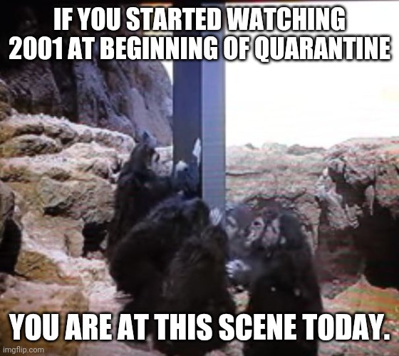 2001 Space Odyssey | IF YOU STARTED WATCHING 2001 AT BEGINNING OF QUARANTINE; YOU ARE AT THIS SCENE TODAY. | image tagged in 2001 space odyssey | made w/ Imgflip meme maker