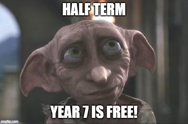 dobby | HALF TERM; YEAR 7 IS FREE! | image tagged in dobby | made w/ Imgflip meme maker