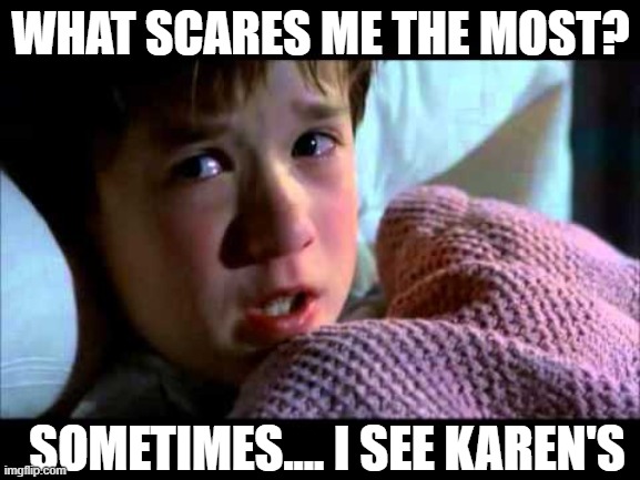 I see dead people |  WHAT SCARES ME THE MOST? SOMETIMES.... I SEE KAREN'S | image tagged in i see dead people | made w/ Imgflip meme maker