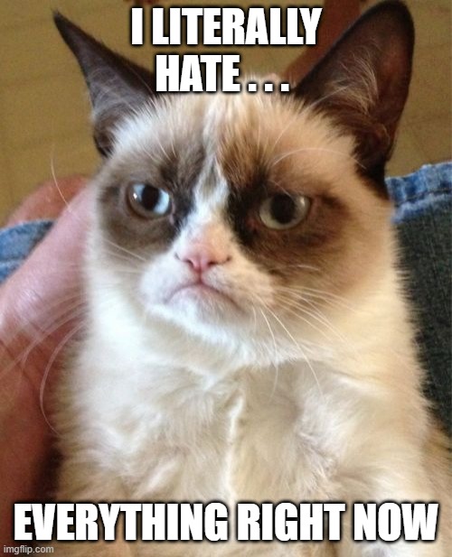 Grumpy Cat | I LITERALLY HATE . . . EVERYTHING RIGHT NOW | image tagged in memes,grumpy cat,cats | made w/ Imgflip meme maker