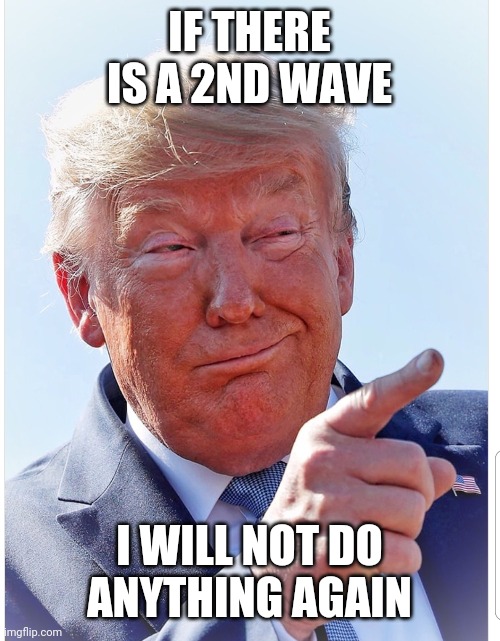 Trump pointing | IF THERE IS A 2ND WAVE; I WILL NOT DO ANYTHING AGAIN | image tagged in trump pointing | made w/ Imgflip meme maker