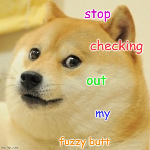 Doge Meme | stop checking out my fuzzy butt | image tagged in memes,doge | made w/ Imgflip meme maker