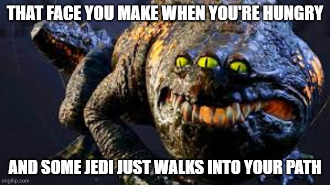 Oggdo Bogdo | THAT FACE YOU MAKE WHEN YOU'RE HUNGRY; AND SOME JEDI JUST WALKS INTO YOUR PATH | image tagged in star wars | made w/ Imgflip meme maker
