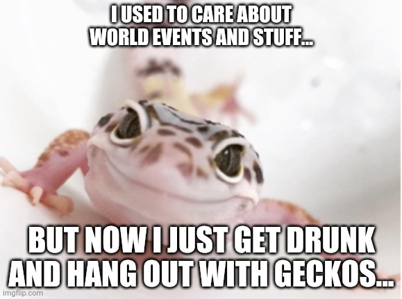 Apocalypse friends | I USED TO CARE ABOUT WORLD EVENTS AND STUFF... BUT NOW I JUST GET DRUNK AND HANG OUT WITH GECKOS... | image tagged in gecko,coronavirus,funny,help | made w/ Imgflip meme maker