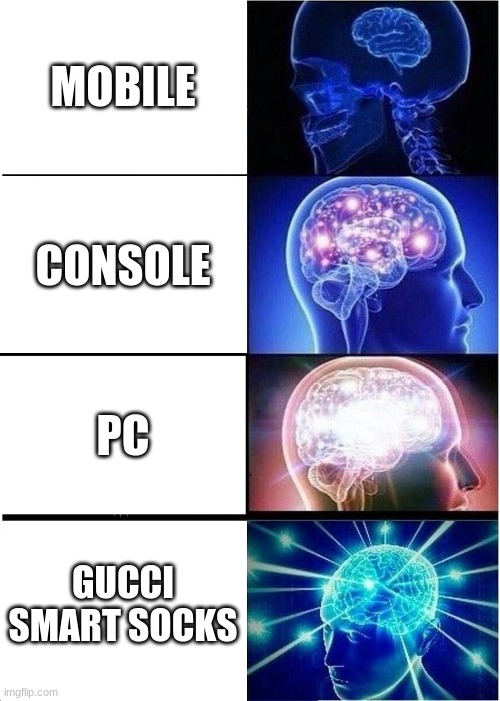Id personally prefer samsung smart refridgerator but ok | MOBILE; CONSOLE; PC; GUCCI SMART SOCKS | image tagged in memes,expanding brain | made w/ Imgflip meme maker