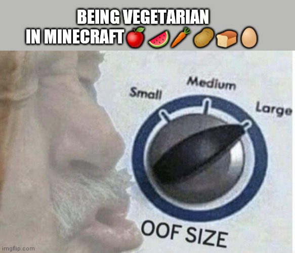 Oof size large | BEING VEGETARIAN IN MINECRAFT🍎🍉🥕🥔🍞🥚 | image tagged in oof size large | made w/ Imgflip meme maker