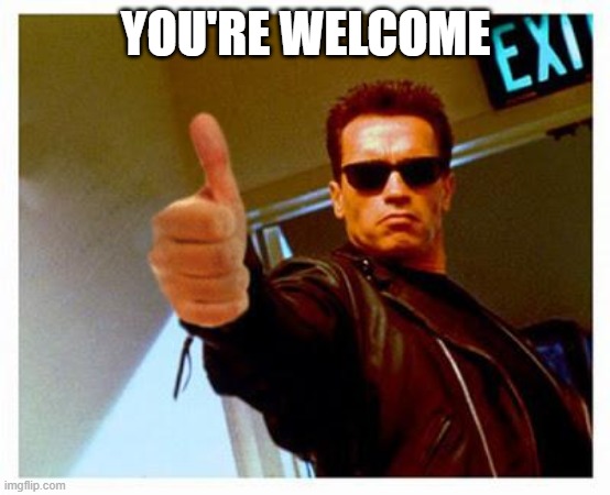 terminator thumbs up | YOU'RE WELCOME | image tagged in terminator thumbs up | made w/ Imgflip meme maker