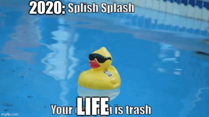 Splish Splash your opinion is trash | 2020:; LIFE | image tagged in splish splash your opinion is trash | made w/ Imgflip meme maker