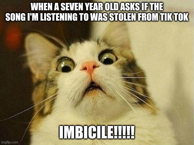 Scared Cat Meme | WHEN A SEVEN YEAR OLD ASKS IF THE SONG I'M LISTENING TO WAS STOLEN FROM TIK TOK; IMBICILE!!!!! | image tagged in memes,scared cat | made w/ Imgflip meme maker
