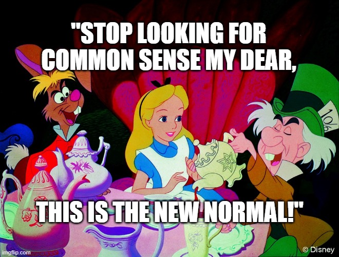 Alice in wonderland | "STOP LOOKING FOR  COMMON SENSE MY DEAR, THIS IS THE NEW NORMAL!" | image tagged in alice in wonderland | made w/ Imgflip meme maker
