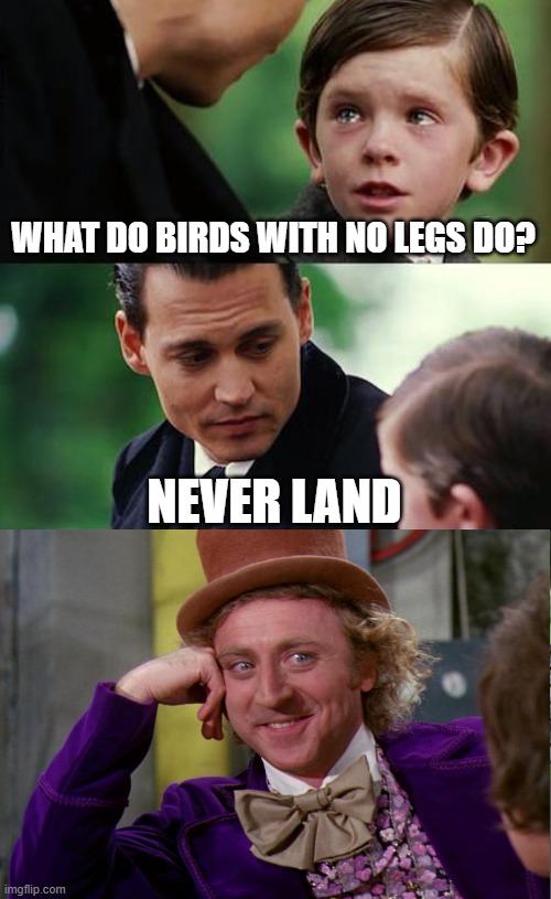 that checks out | WHAT DO BIRDS WITH NO LEGS DO? NEVER LAND | image tagged in memes,finding neverland,birds,i believe i can fly | made w/ Imgflip meme maker