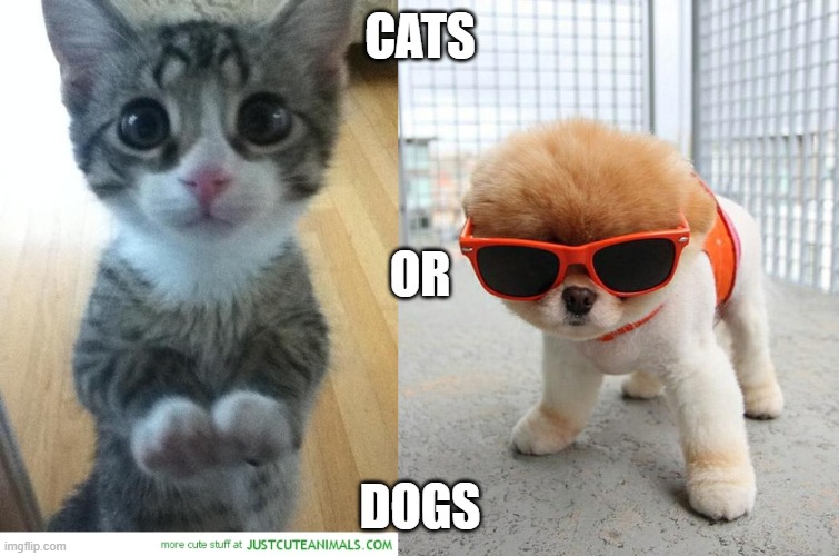 CATS; OR; DOGS | image tagged in cute puppies,cute kitty begging 2 | made w/ Imgflip meme maker